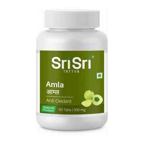 Amla Sri Sri Ayurveda (Амла Шри Шри) (60 таблеток)