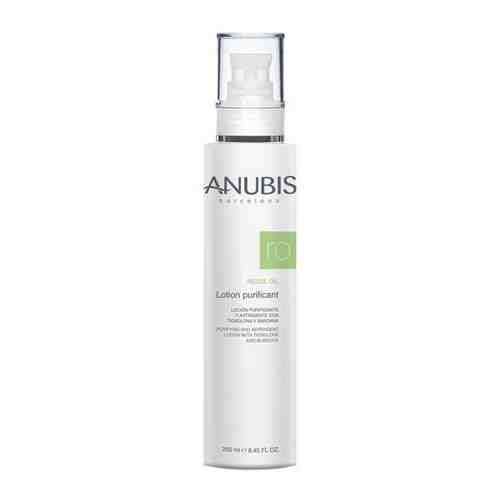 Anubis Barcelona Балансирующий очищающий лосьон/Regul Oil Lotion Purificant 250 мл