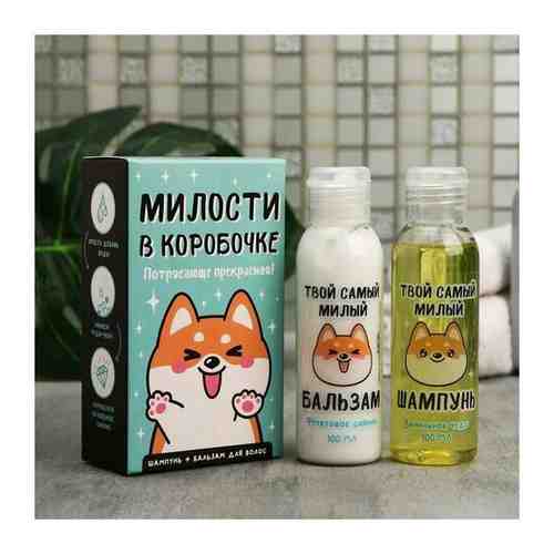 Beauty Fox Набор «Милости в коробке» шампунь, бальзам