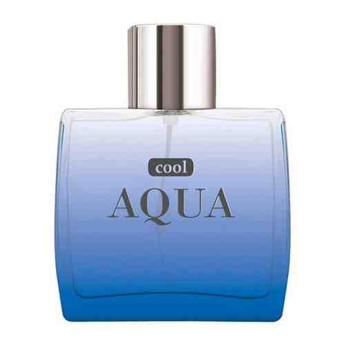 Dilis Parfum Мужской Cool Aqua Туалетная вода (edt) 100мл