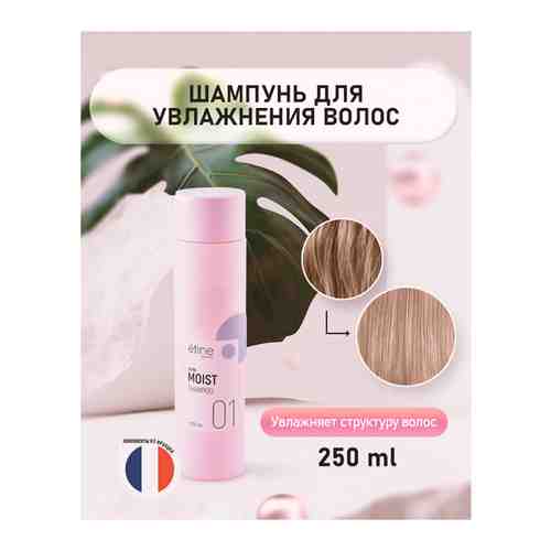 Etine Ultra Moist Shampoo - Шампунь для ультраувлажнения волос 500 мл