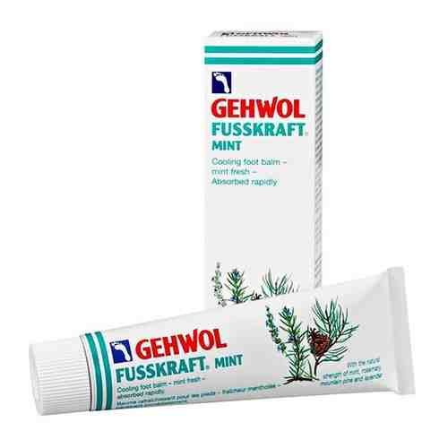 Gehwol Fusskraft Mint - Геволь Фусскрафт Мятный бальзам, 125 мл -