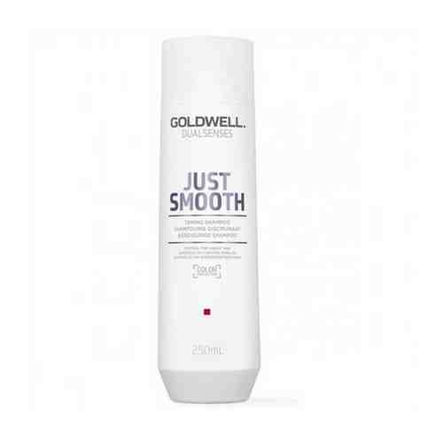 Goldwell Dualsenses Just Smooth Shampoo 250 ml