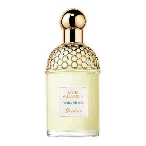 Guerlain Aqua Allegoria Herba Fresca туалетная вода 125 мл