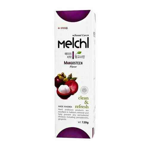 Hanil Зубная паста со вкусом мангостина / Meichi tropic Dental Care Clean Fresh Mangosteen, 120 мл