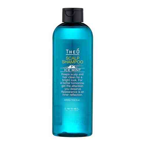 Lebel Theo Scalp Ice Mint Shampoo - Шампунь для мужчин 1000 мл