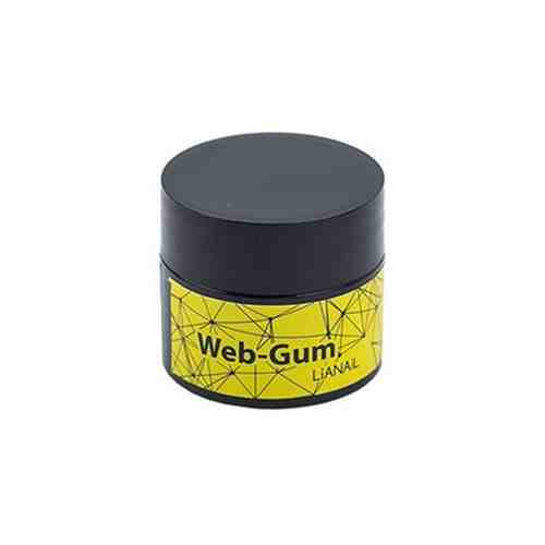 Lianail, гель-краска Web-gum (белая), 5 мл