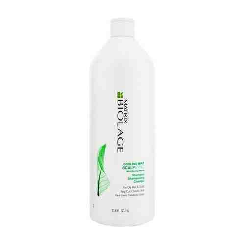 Matrix Biolage Скалпсинк Освежающий шампунь для жирной кожи головы 250 мл