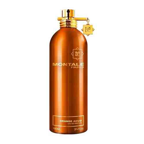 MONTALE парфюмерная вода Aoud Orange, 100 мл