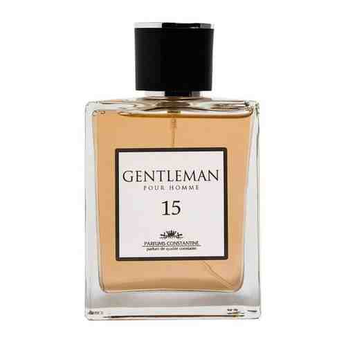 Мужская туалетная вода Parfums Constantine Private Collection Gentleman 15 100 мл