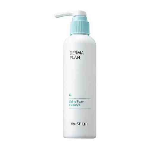 Пенка для лица The SAEM Derma Plan Gel To Foam Cleanser (180 мл)