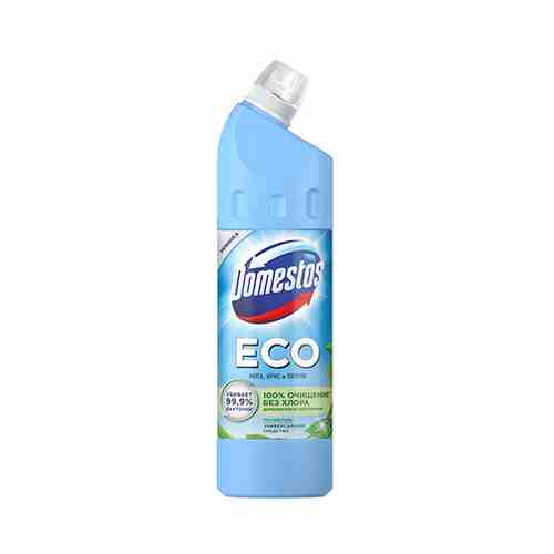 Средство чистящее DOMESTOS ECO универсальное Мята, ирис и пачули 750 мл арт. 203084