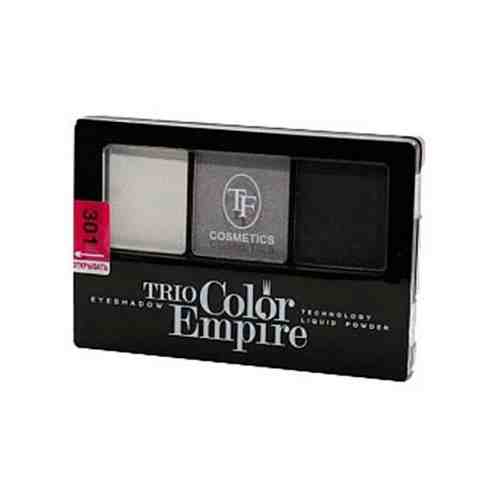 TF Cosmetics Палетка теней Trio Color Empire 309 морской бриз