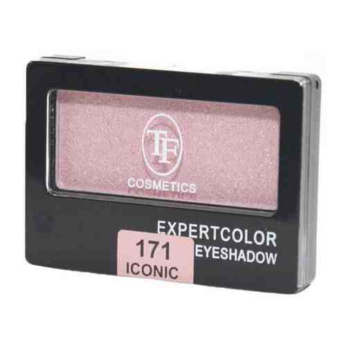 TF Cosmetics Тени для век Expert Color Iconic 175