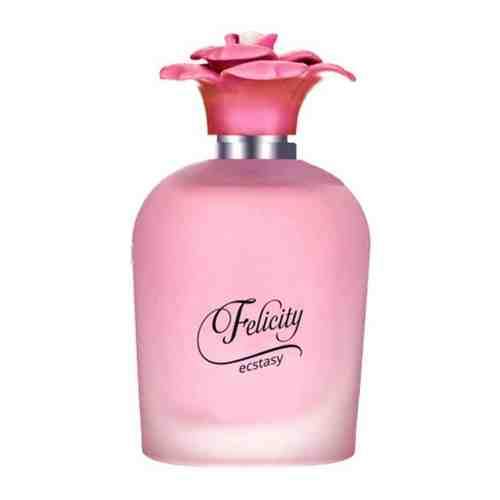 Туалетная вода женская Felicity Ecstasy, 60 мл, Delta PARFUM